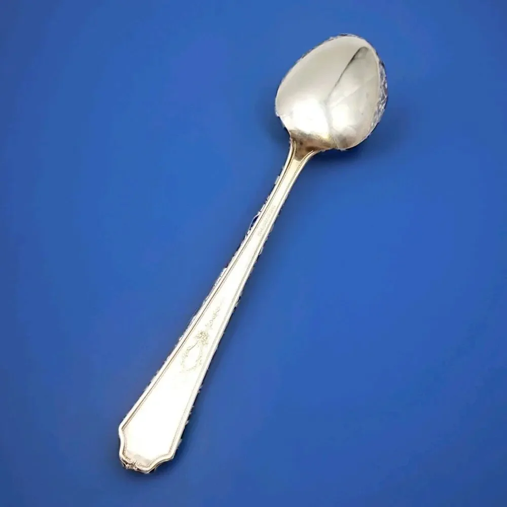 1847 Rogers Bros Ancestral Silverplate Serving Spoon Discontinued